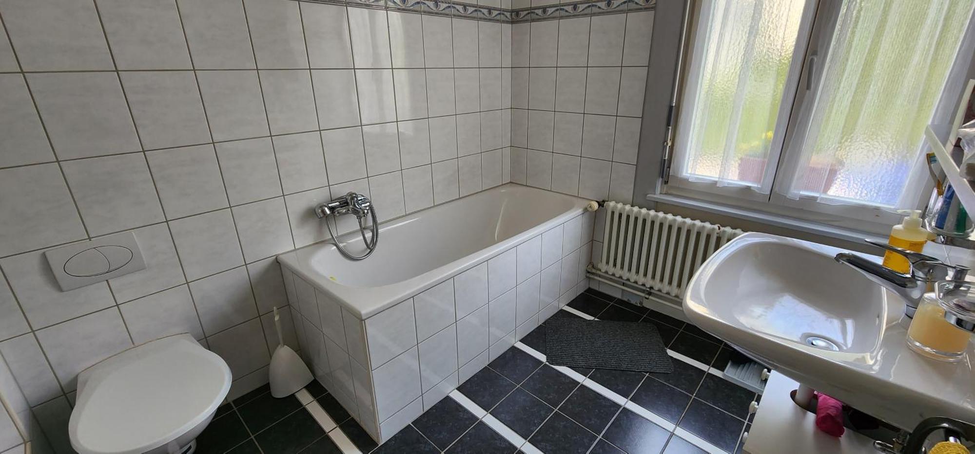 Residence Villa Flora Интерлакен Экстерьер фото